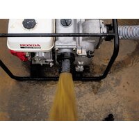 Honda WT30XK4-DE Image #5