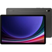 Samsung Galaxy Tab S9 5G SM-X716 8GB/128GB (графитовый)