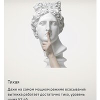 MAUNFELD Lee Push 39 (нержавеющая сталь) Image #18