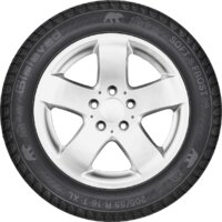 Gislaved Soft*Frost 200 205/50R17 93T Image #3