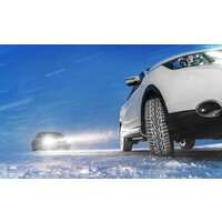 Ikon Nordman 7 SUV 215/65R16 102T (шипы) Image #7