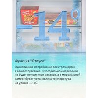 MAUNFELD MFF200NFW Inverter Image #16