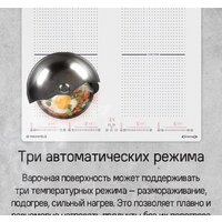 MAUNFELD CVI594SF2BK Inverter Image #19