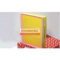 Dynamatrix-Korea DAF439