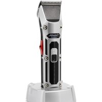 Atlanta ATH-6913 (серый)