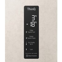 LG DoorCooling+ GA-B509CEQM Image #15