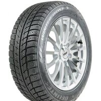 Delinte Winter WD52 245/45R18 100H