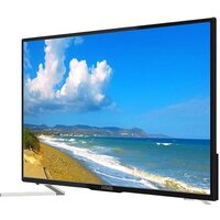 Polar P32L34T2C Image #2