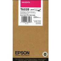 Epson C13T603B00