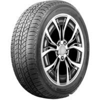 Autogreen Snow Chaser AW02 255/50R19 107T