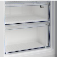 BEKO B3RFNK292W Image #6