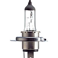 Bosch Plus 30 H4 1987302042