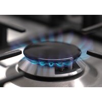 GEFEST ПГ 5300-02 0340T Image #5