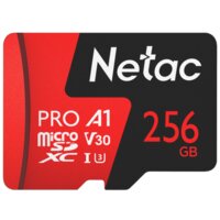 Netac 256GB 500 Extreme Pro NT02P500PRO-256G-R (с адаптером)