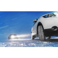 Ikon Nordman 7 SUV 215/55R18 99T (шипы) Image #7