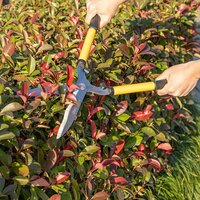 Deli EDL2806 Image #5