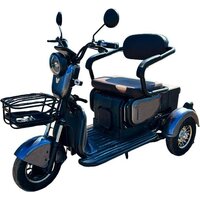 Электросамокаты и электроскутеры