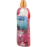 MAUNFELD Рассветная симфония 900 г MFS900DS Image #3